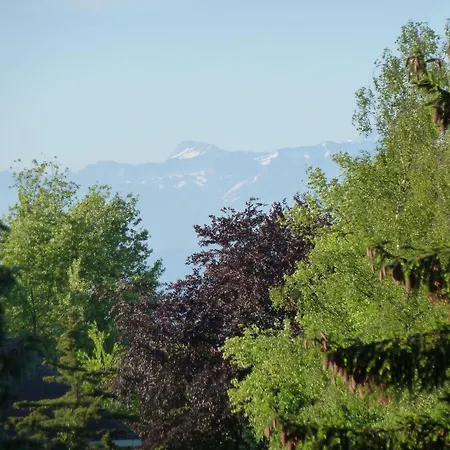 Silvaner-laube Silvanerlaube A * 梅尔斯堡